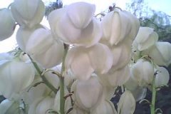 泉州师范学院怎么样?看2015国内及本省排名表