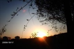 2015山东外事翻译职业学院排名