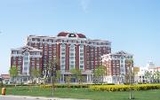 天津外国语大学滨海外事学院二本最低投档分478