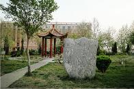 中国地质大学长城学院二本最低投档分446