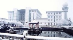 南京信息工程大学有哪些一本理科专业？