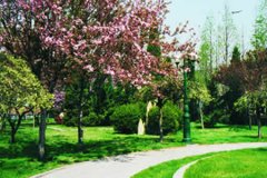 大连交通大学有哪些一本理科专业？