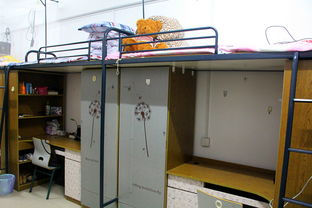 杭州师范大学宿舍图片_寝室图片9