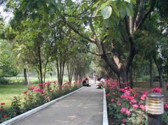 山西医科大学有哪些二本文科专业？