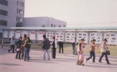 安徽科技学院有哪些二本文科专业？