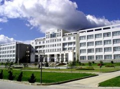 大理学院有哪些一本理科专业？