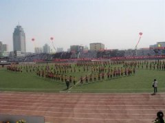 渭南师范学院有哪些二本文科专业？