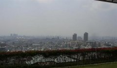 东北电力大学有哪些二本文科专业？