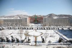 通化师范学院有哪些二本文科专业？