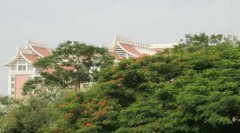 集美大学有哪些二本文科专业？