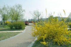 临沂大学有哪些二本理科专业？