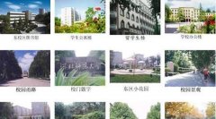 河北师范大学有哪些一本理科专业？