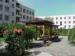 志愿填报:黑龙江林业职业学院是公办还是民办大专？