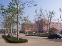 黄淮学院有哪些三本理科专业？