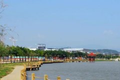 福建中医药大学有哪些一本文科专业？