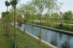 填报问题:上海工会管理职业学院是公办还是民办大专？