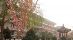 填报问题:冀中职业学院是公办还是民办专科？