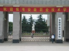 填报问题:安徽职业学院是公办还是民办大专？