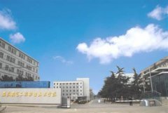 志愿填报:安徽电气工程职业学院是公办还是民办专科？