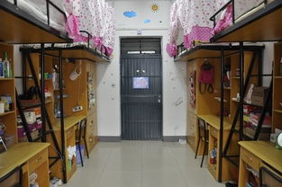 武汉外语外事职业学院宿舍图片_寝室图片11