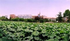 志愿填报:山东畜牧兽医职业学院是公办还是民办专科？