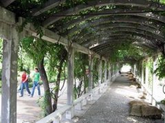 填报问题:山东外事翻译职业学院是公办还是民办专科？