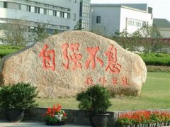 上海大学有哪些三本理科专业？