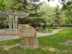 天津工业大学有哪些一本文科专业？