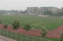 天津科技大学有哪些一本理科专业？