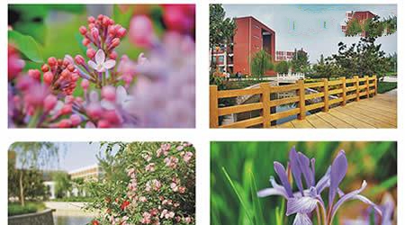 天津科技大学校园图片_大学图片4