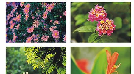 天津科技大学校园图片_大学图片5