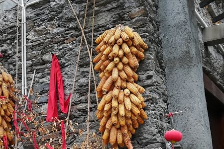 2019山西成考分数线出炉，高起专86起