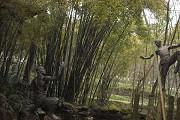 100所骨干高职大学排名，顺德职院江苏农牧排名前2