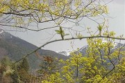青海哪些大学分数较低？