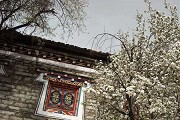 2018志愿填报:选择什么专科大学好？