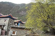保定幼专2017单招简章
