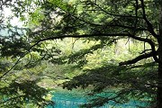 40所双一流大学排名，北大清华复旦排名前3