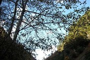新疆理工类大学分数线多少？见新疆省内外的本专科理工类大学分数线详表