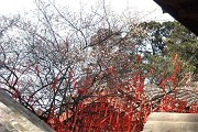 海军军医大学2020年分数线(各省军事线)