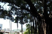 浙江有哪些双一流211重点大学