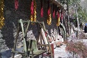 2021中国农业大学成人高考有哪些专业