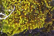 安徽政法类大学分数线多少？见安徽省内外的本专科政法类大学分数线详表