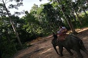 报考哪些深圳专科学校好？见深圳专科分数线详表