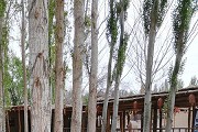 宁夏理工类大学分数线多少？见宁夏省内外的本专科理工类大学分数线详表