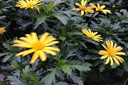 文科生最爱填报的10大专业目录