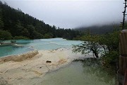 深圳龙华区积分入户,深圳入户出生医学证明