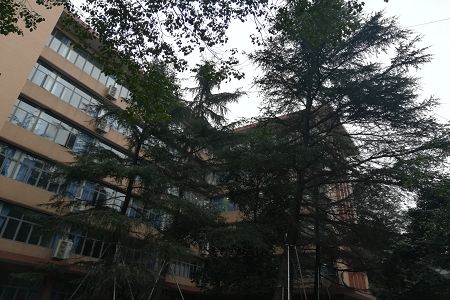 上饶师范类大学有哪些？分数线多少？[专科]