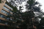 万博科技学院2017分类招生简章