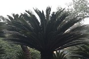 海南哪些大学分数较高？