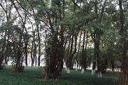 吉林高考分数线2020年查询